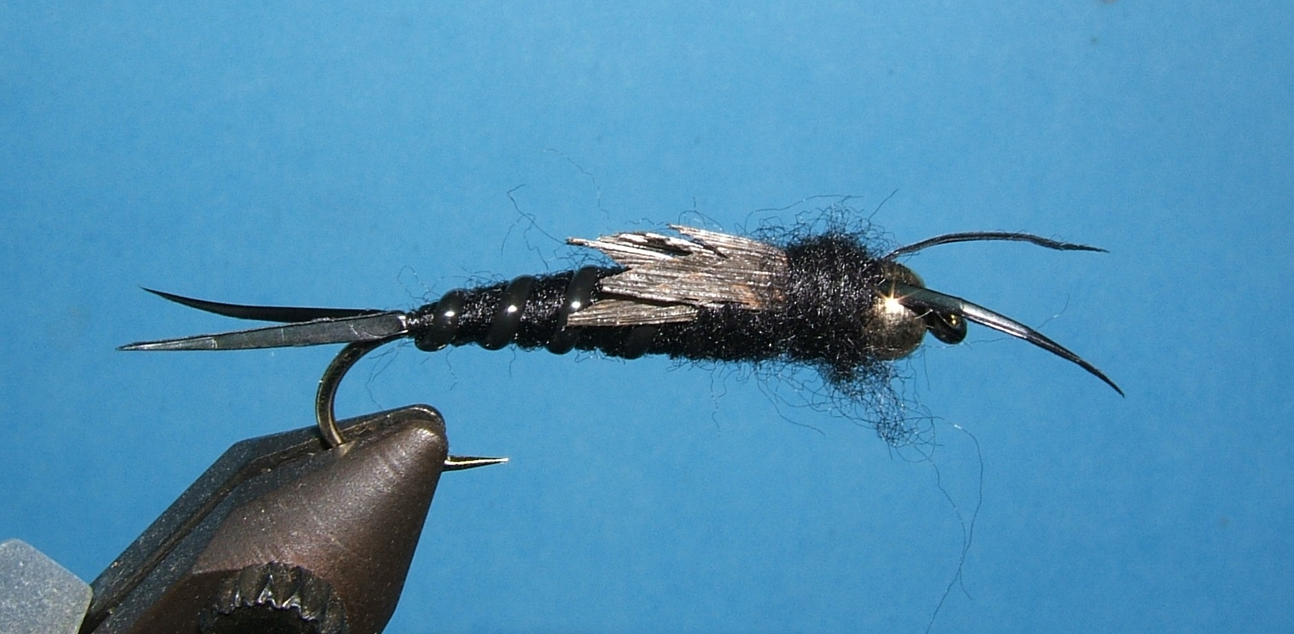 10 Bead Head Black and Peacock Snail Fly #12,14 
