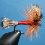 3 sizes 14.. 12 # 10 Wulff red 12 flies 