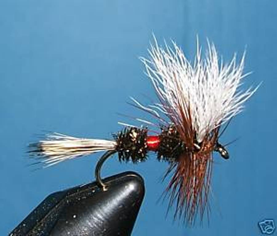 Royal Wulff; dry fly; 12 dry flies; # 12, 14. – Kootenay Lifestyles